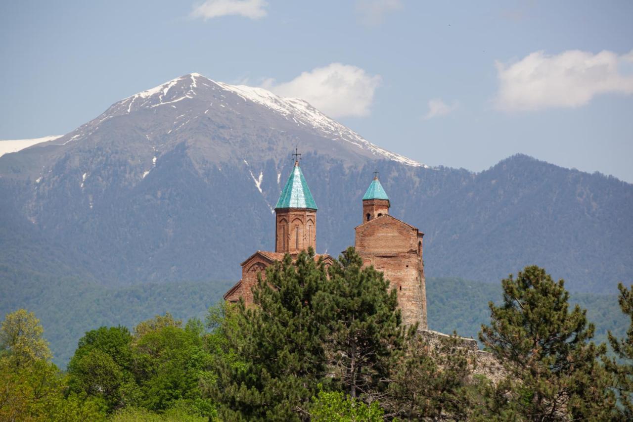 Chateau Gremisio Kvareli Buitenkant foto